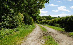 Dirt Road