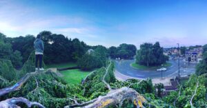Up on top of the Willow in Endcliffe Park, Sheffield.