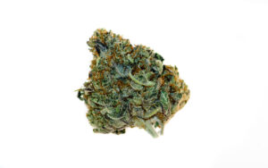 Ice Dawg