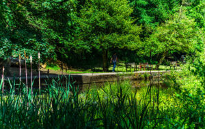 Along Porter Brook