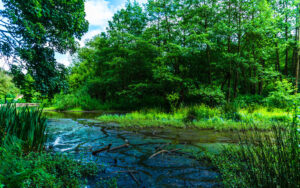 Along Porter Brook