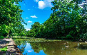 Along Porter Brook