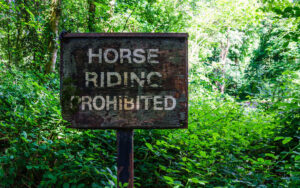 Along Porter Brook
