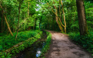 Along Porter Brook
