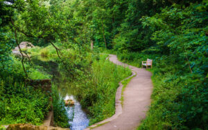 Along Porter Brook