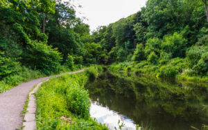 Along Porter Brook