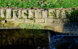 Endcliffe Park