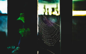 Webbed