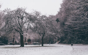 Sheffield in the Snow