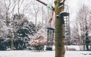 Sheffield in the Snow