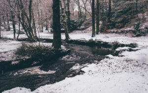 Sheffield in the Snow
