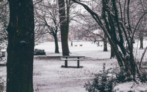 Sheffield in the Snow