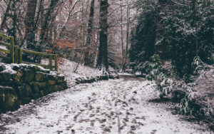 Sheffield in the Snow