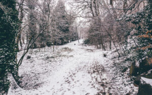 Sheffield in the Snow