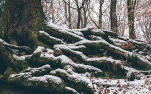 Sheffield in the Snow