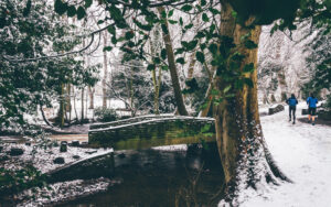Sheffield in the Snow