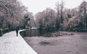 Sheffield in the Snow
