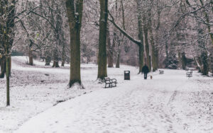 Sheffield in the Snow