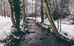 Sheffield in the Snow