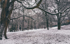 Sheffield in the Snow