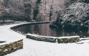 Sheffield in the Snow