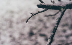 Sheffield in the Snow