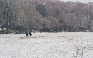 Sheffield in the Snow