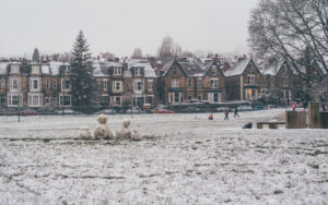 Sheffield in the Snow
