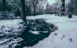Endcliffe Park Snow