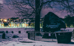 Endcliffe Park Snow