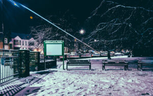 Endcliffe Park Snow