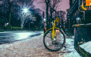 Endciffe Park in the Snow