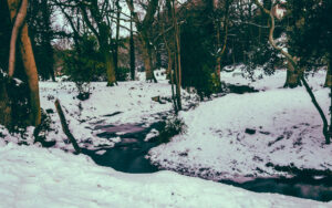 Endciffe Park in the Snow