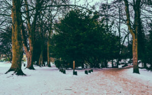 Endciffe Park in the Snow