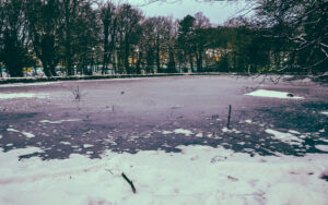 Endciffe Park in the Snow