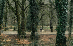 Cemetery Walk