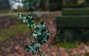 Cemetery Walk