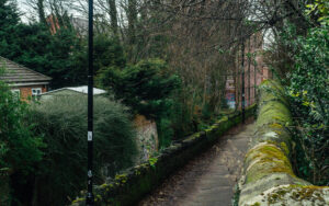 Cemetery Walk