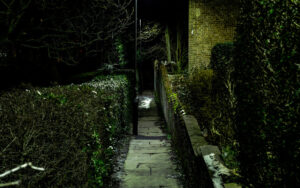 Into the Dark