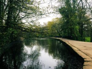 Sheffield’s Porter Valley and Endcliffe Park aren't half bad for a Dog walk. 👌