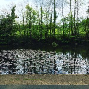 Sheffield’s Porter Valley and Endcliffe Park aren't half bad for a Dog walk. 👌