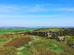 Sheffield’s Porter Valley and Endcliffe Park aren't half bad for a Dog walk. 👌