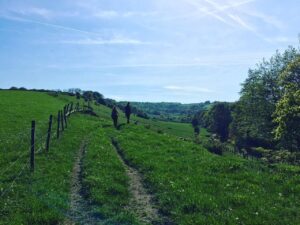 Sheffield’s Porter Valley and Endcliffe Park aren't half bad for a Dog walk. 👌