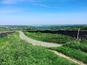 Sheffield’s Porter Valley and Endcliffe Park aren't half bad for a Dog walk. 👌