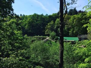Sheffield’s Porter Valley and Endcliffe Park aren't half bad for a Dog walk. 👌