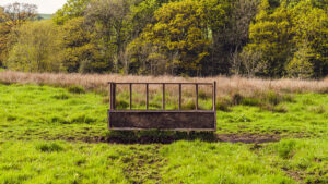 Things I saw at Porter Clough.