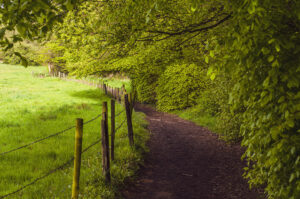 Things I saw at Porter Clough.
