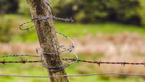 Things I saw at Porter Clough.