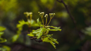 Things I saw at Porter Clough.