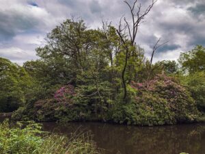 Endcliffe Park